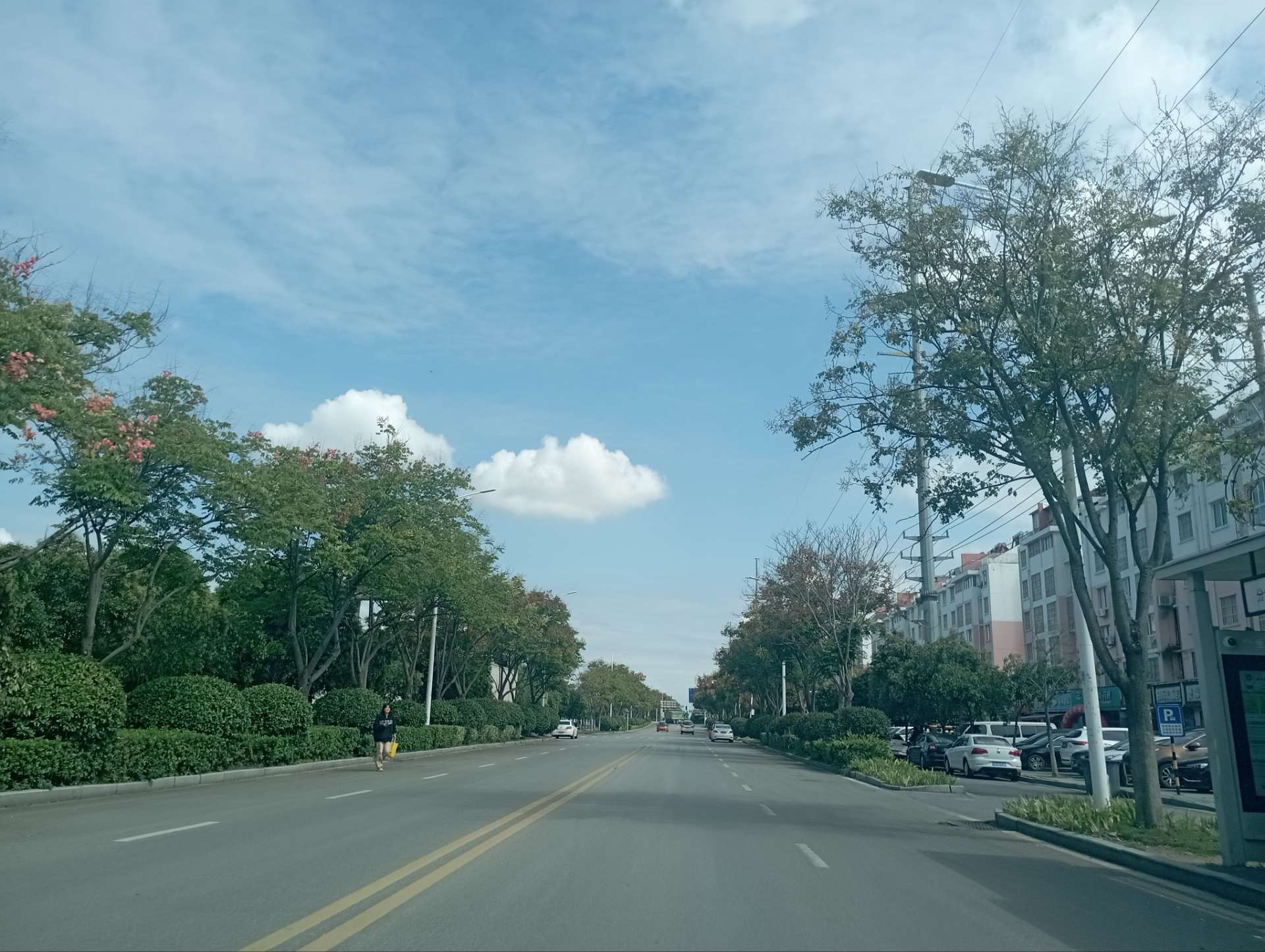 shfq.com】 - 本地 高效 精准 - 泗洪风情网