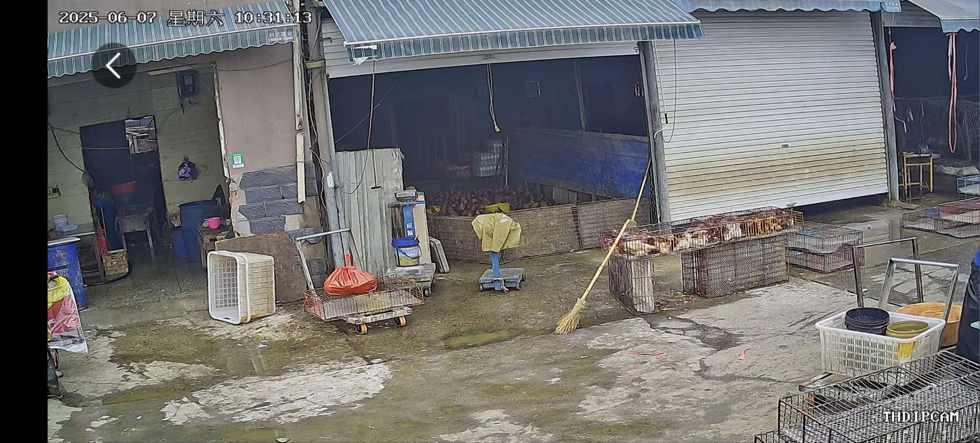泗洪分类信息